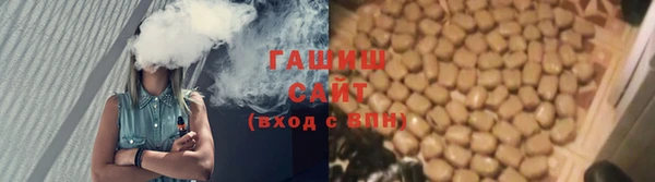 индика Алзамай