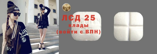 индика Алзамай