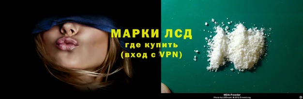 индика Алзамай