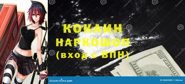индика Алзамай