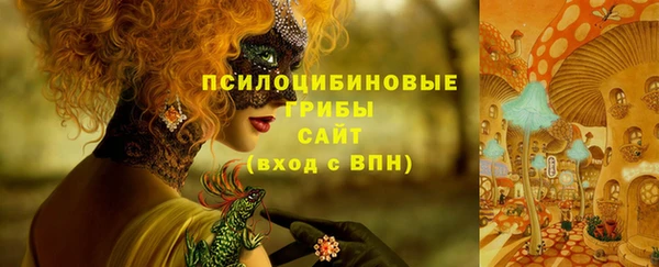 индика Алзамай