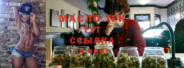 индика Алзамай