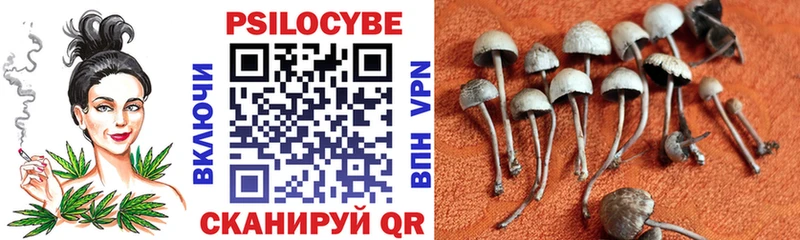 МЕГА онион  Кувшиново  Псилоцибиновые грибы Psilocybine cubensis 