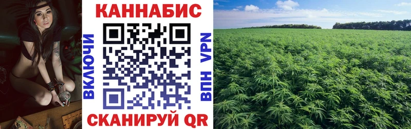 купить наркотик  Кувшиново  Марихуана White Widow 